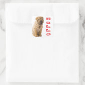 Hallo Shar Pei Puppy Dog Sticker / Siegel (Tasche)