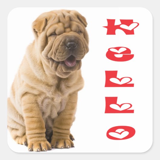 Hallo Shar Pei Puppy Dog Sticker / Siegel (Vorderseite)