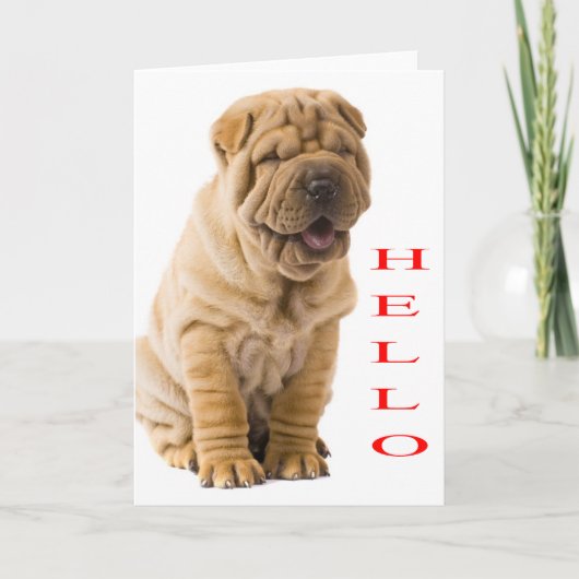 Hallo Shi Pei Welpe Hund Blank Card Karte (Vorderseite)