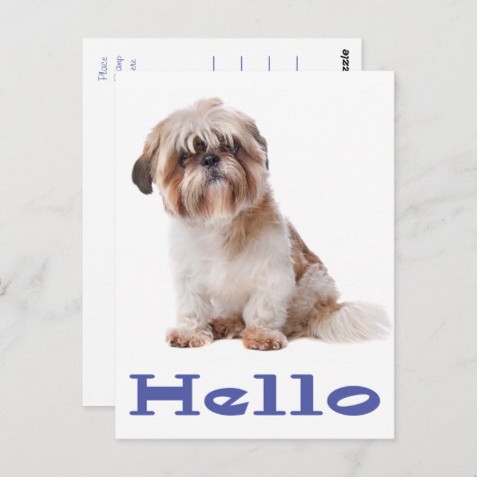 Hallo Shih Tzu Welpe Hund - Denken Sie an Sie, Fre Postkarte (Vorne/Hinten)