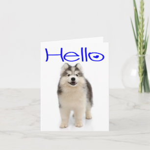 Hallo Sibirischer Husky Welpen Hund Leere Karte