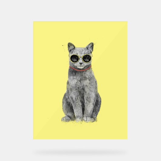 Hallo Sommer Acrylschild (Vorderseite)