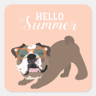 Hallo Sommer Englisch Bulldog Orange Quadratischer Aufkleber