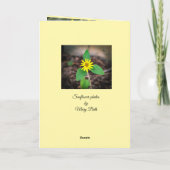 Hallo Sonnenblume Karte (Rückseite)