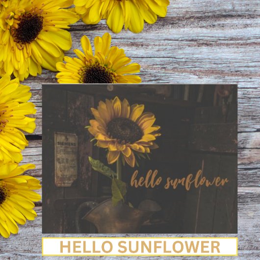 Hallo Sonnenblume Vintag Postkarte