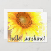 "Hallo, Sonnenschein!" Abgeblendete Sonnenblume Po Postkarte (Vorne/Hinten)