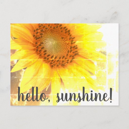 "Hallo, Sonnenschein!" Abgeblendete Sonnenblume Po Postkarte (Vorderseite)
