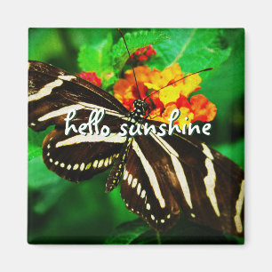 "Hallo Sonnenschein" Schwarzweiß-Schmetterling-Fot Magnet