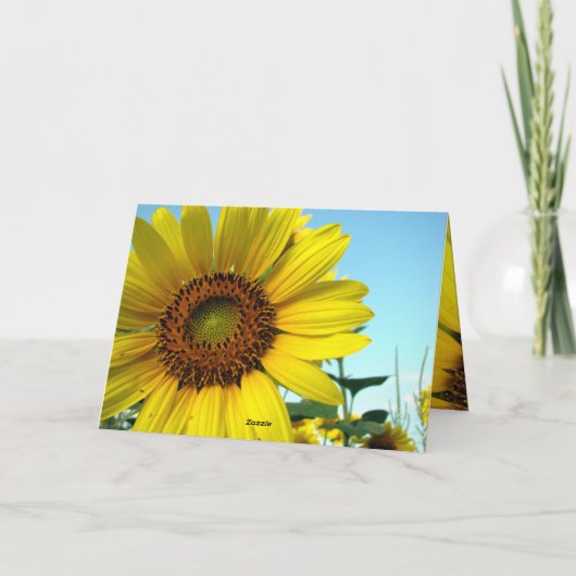 Hallo sonunny karte (Rückseite)