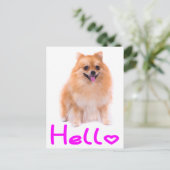 Hallo Spitz Welpen Doppy Blank Post Card Postkarte (Stehend Vorderseite)