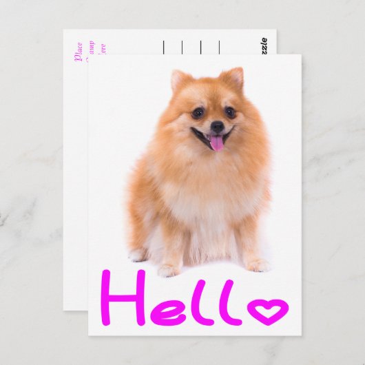 Hallo Spitz Welpen Doppy Blank Post Card Postkarte (Vorne/Hinten)