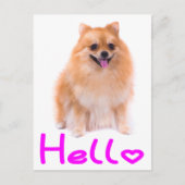 Hallo Spitz Welpen Doppy Blank Post Card Postkarte (Vorderseite)