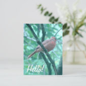 Hallo ! Sprichwort Hi Kardinal auf Zweigniederlass Postkarte (Stehend Vorderseite)