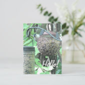 Hallo ! Sprichwort Hi Niedlich Bird auf Vogelzufüh Postkarte (Stehend Vorderseite)