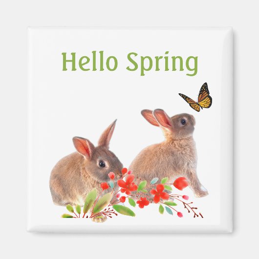 Hallo Spring Bunny Rabbit und Butterfly Magnet (Vorne)