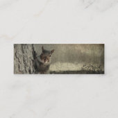 Hallo Squirrel Mini Visitenkarte (Rückseite)