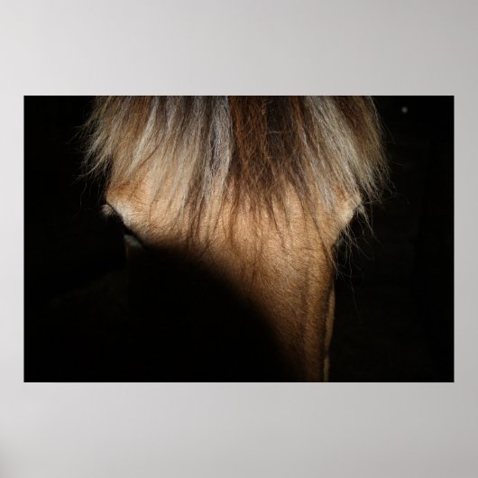 Hallo, Stranger - Poster (Vorne)