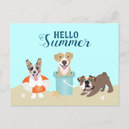 Hallo Summer Beach Hunde Postkarte