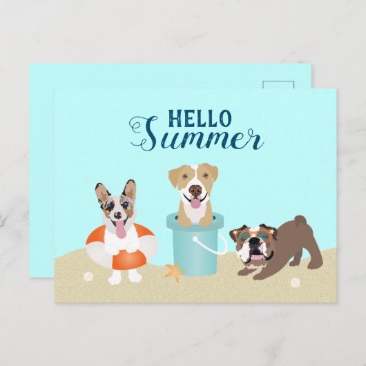 Hallo Summer Beach Hunde Postkarte (Vorne/Hinten)