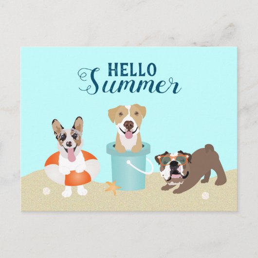 Hallo Summer Beach Hunde Postkarte (Vorderseite)