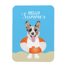 Hallo Summer Corgi Beach Hunde