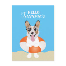 Hallo Summer Corgi Beach Hunde