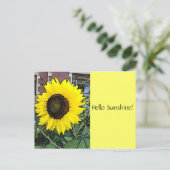Hallo Sunshine Sonnenblume Postcard Postkarte (Stehend Vorderseite)