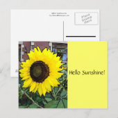 Hallo Sunshine Sonnenblume Postcard Postkarte (Vorne/Hinten)