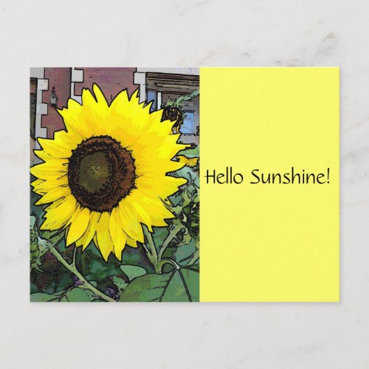 Hallo Sunshine Sonnenblume Postcard Postkarte (Vorderseite)