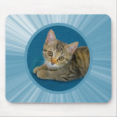 Hallo Süsse - niedliches Kätzchen Mousepad (Vorne)