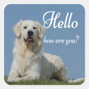 Hallo Süßer Welpe Hund Liebhaber Golden Retriever Quadratischer Aufkleber