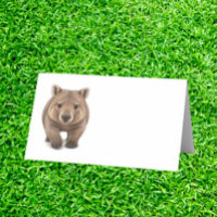 Hallo süßer Wombat