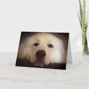 Hallo und ich denke an dich leere Innenseite Karte