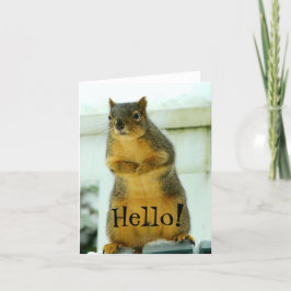 Hallo vom Eichhörnchen Karte