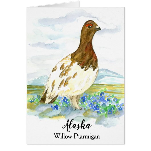 Hallo von Alaska Willow Ptarmigan Blank (Vorne)