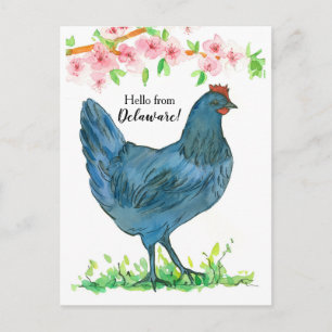 Hallo von Delaware Blue Hen Chicken Pink Blume Postkarte