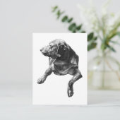 Hallo von Evergreen Corners Postkarte (Stehend Vorderseite)