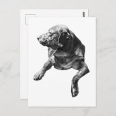 Hallo von Evergreen Corners Postkarte (Vorne/Hinten)