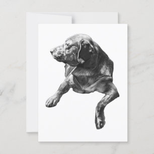 Hallo von Evergreen Corners Postkarte