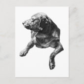 Hallo von Evergreen Corners Postkarte (Vorderseite)