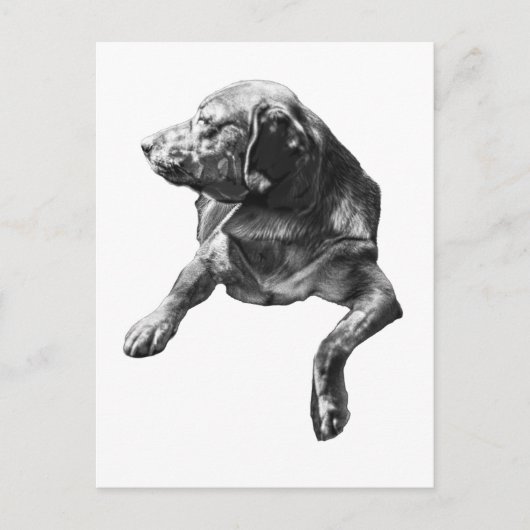 Hallo von Evergreen Corners Postkarte (Vorderseite)