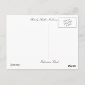 Hallo von... Fishermans Wharf Postkarte (Rückseite)