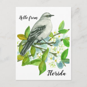 Hallo von Florida Mockingbird Orange Blossom Postkarte
