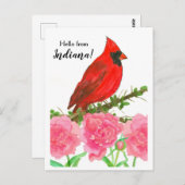 Hallo von Indiana Red Male Kardinal Bird Postkarte (Vorne/Hinten)