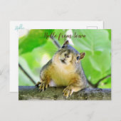 Hallo von Iowa Postcard Postkarte (Vorne/Hinten)