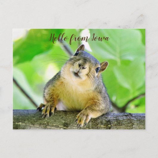 Hallo von Iowa Postcard Postkarte (Vorderseite)