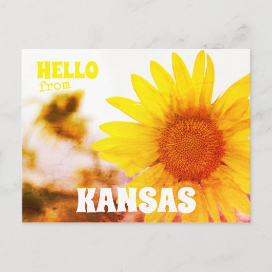 Hallo von Kansas Sonnenblume Postkarte (Vorderseite)