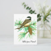 Hallo von Maine Black Capped Chickadee Bird Postkarte (Stehend Vorderseite)