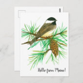 Hallo von Maine Black Capped Chickadee Bird Postkarte (Vorne/Hinten)