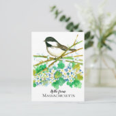 Hallo von Massachusetts Chickadee Mayflower Postkarte (Stehend Vorderseite)